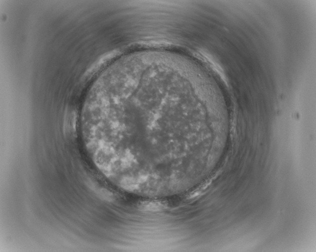 X0000087410115200705111901