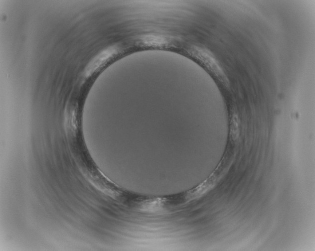 X0000087410116200705111901