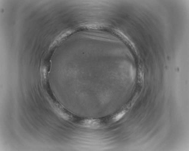 X0000087410117200705111901