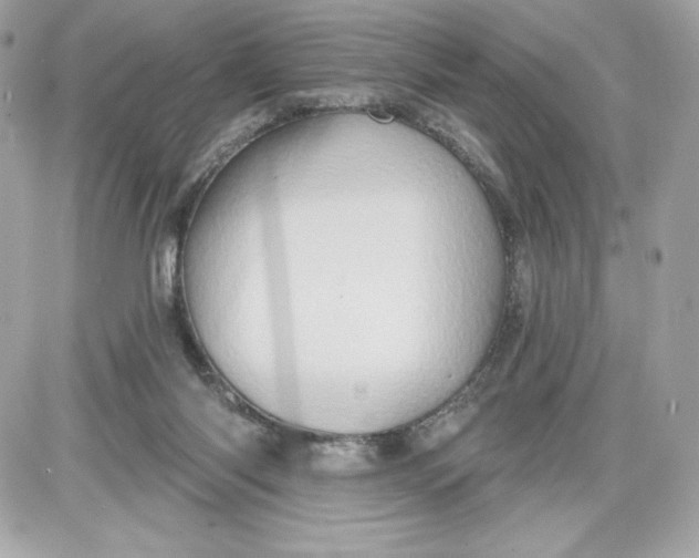 X0000087410118200705111901