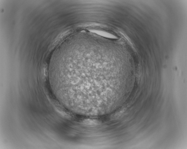 X0000087410119200705111901