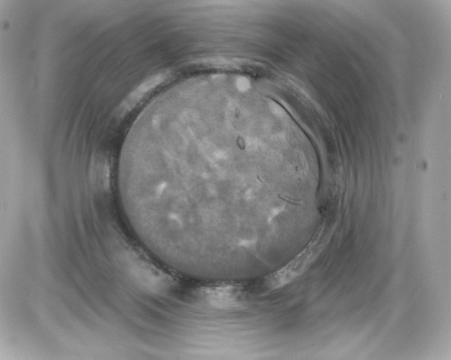 X0000087410120200705111901