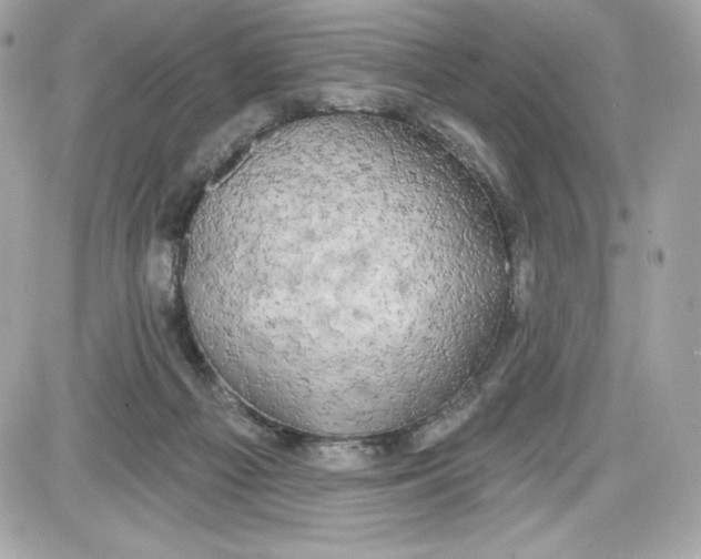 X0000087410121200705111901