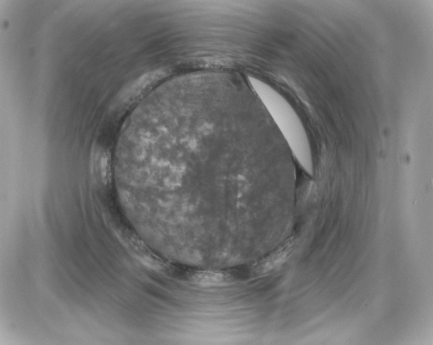 X0000087410123200705111901