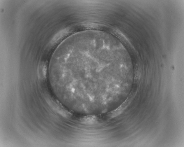 X0000087410124200705111901