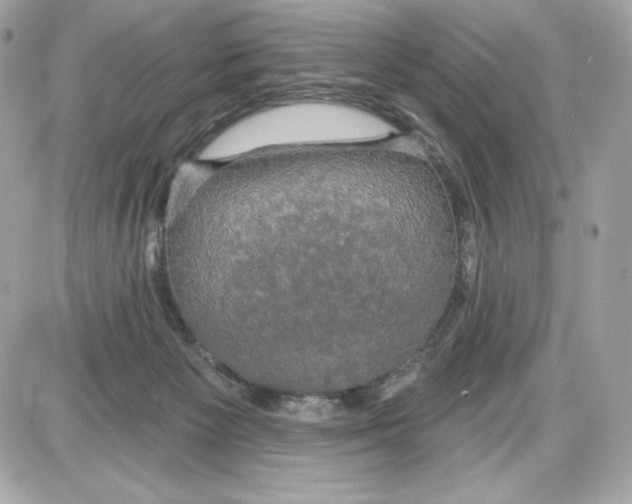 X0000087410125200705111901