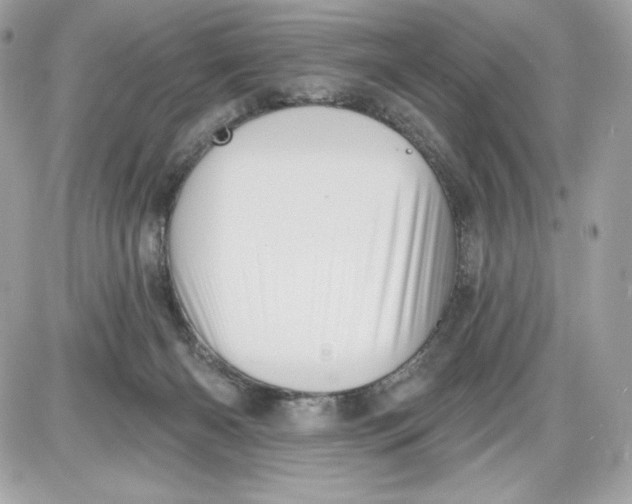 X0000087410126200705111901