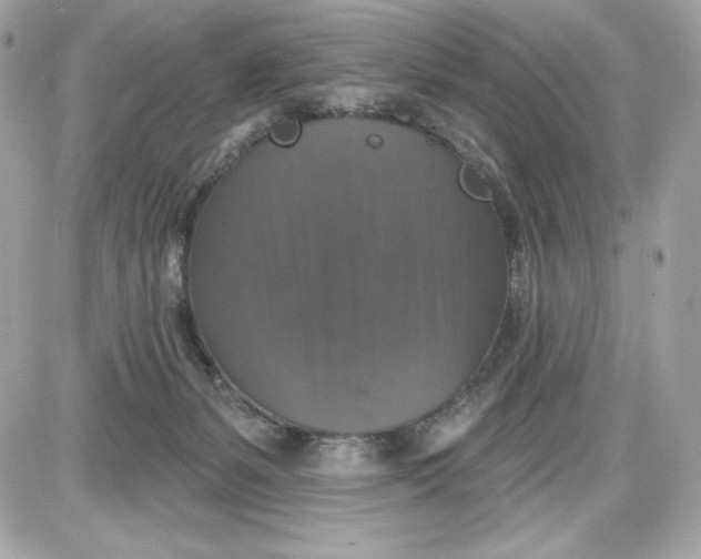 X0000087410127200705111901