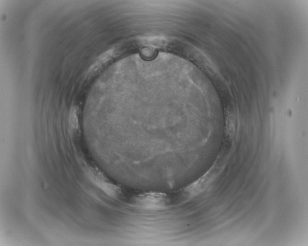 X0000087410128200705111901