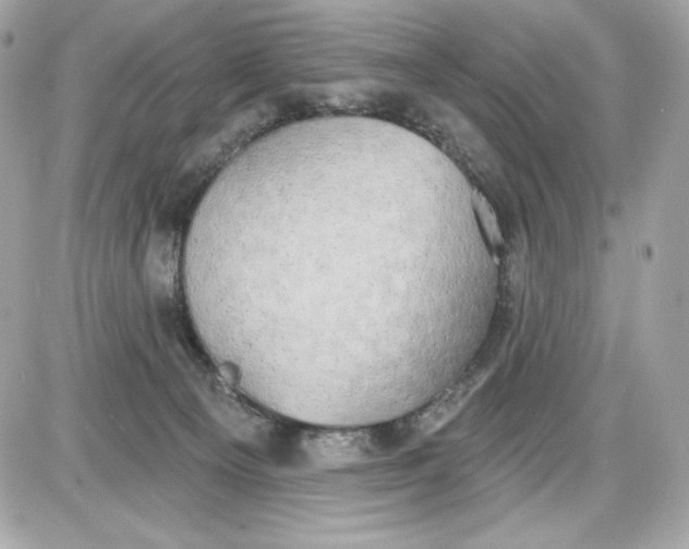 X0000087410129200705111901