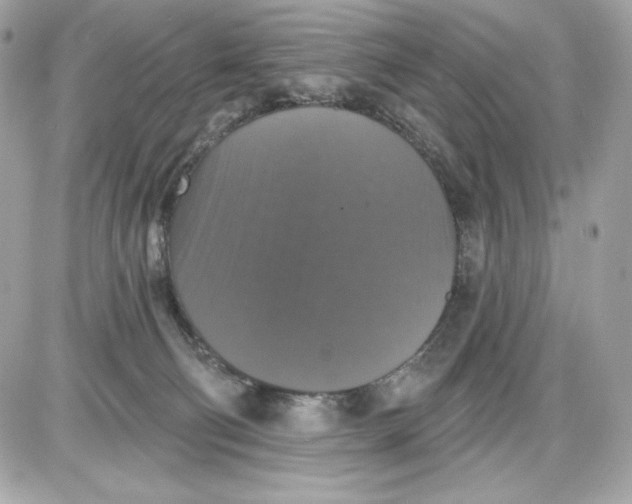 X0000087410130200705111901