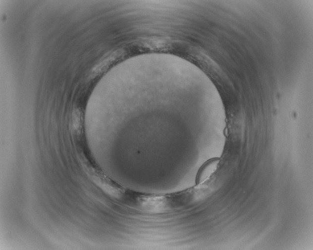 X0000087410132200705111901