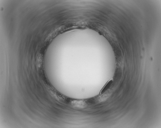 X0000087410133200705111901