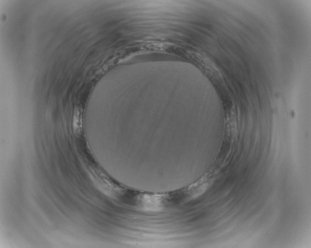 X0000087410134200705111901