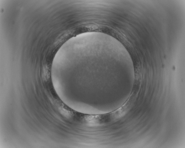 X0000087410136200705111901