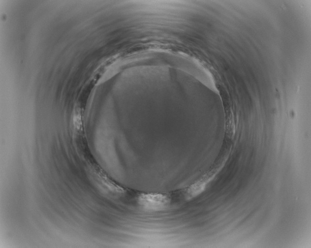 X0000087410137200705111901