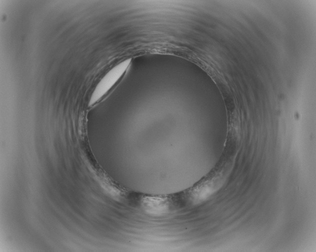 X0000087410139200705111900