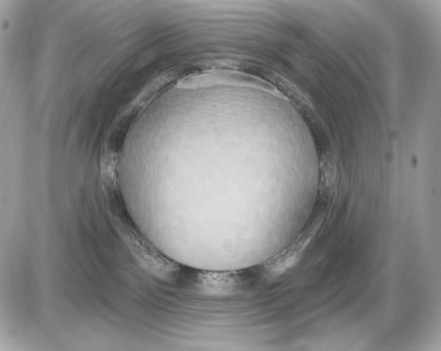 X0000087410141200705111900