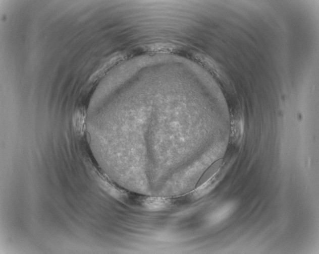 X0000087410142200705111900