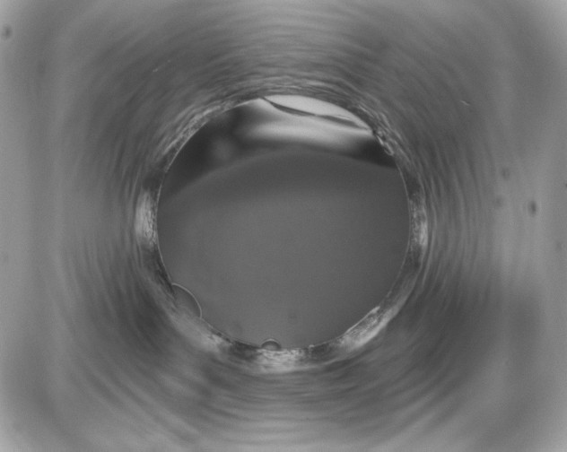 X0000087410143200705111900