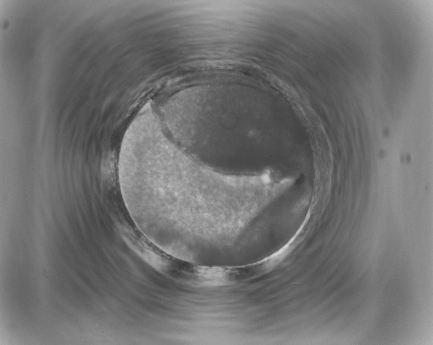 X0000087410144200705111900