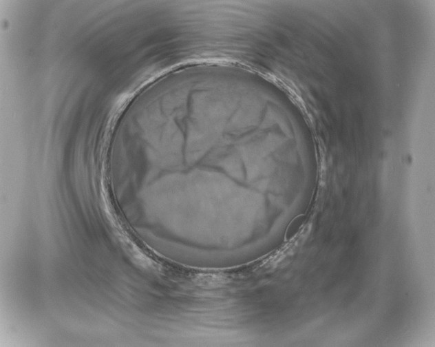 X0000087410145200705111900