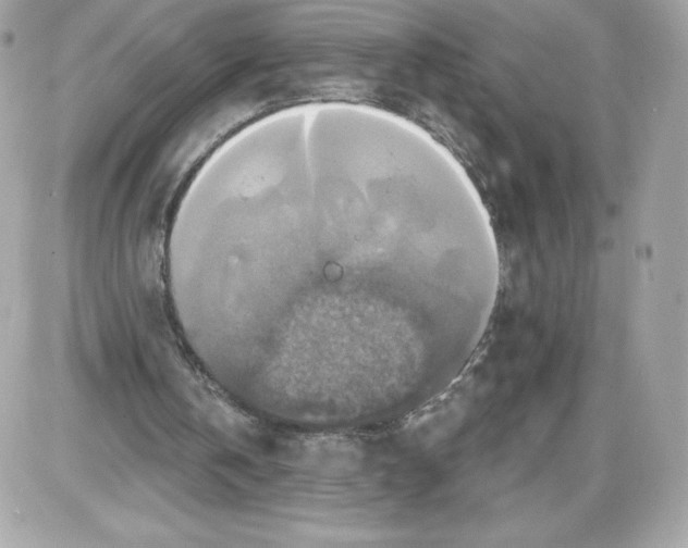 X0000087410146200705111900