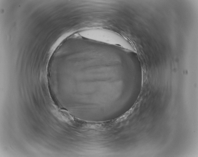 X0000087410147200705111900