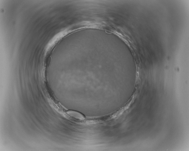 X0000087410149200705111900