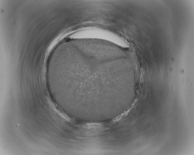 X0000087410150200705111900