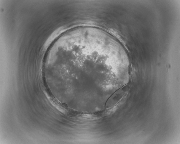 X0000087410151200705111900