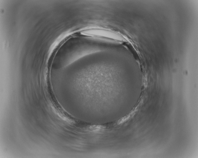 X0000087410152200705111900