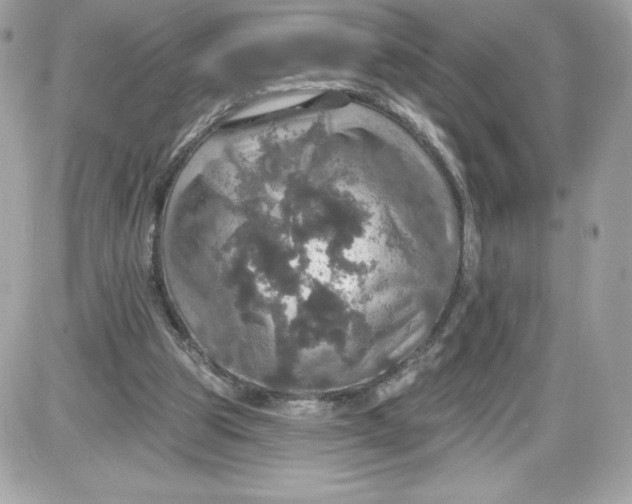 X0000087410153200705111900