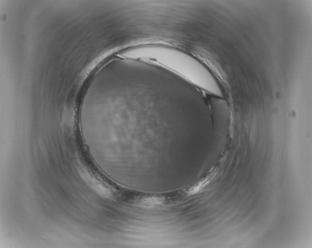 X0000087410156200705111900