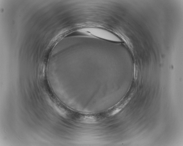 X0000087410157200705111900