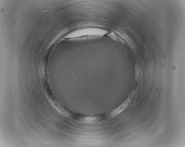 X0000087410158200705111900