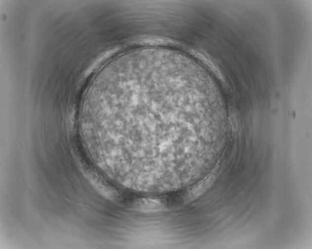 X0000087410159200705111900