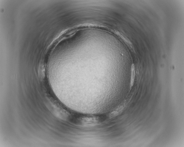 X0000087410160200705111900