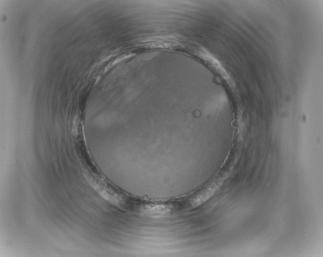 X0000087410161200705111900