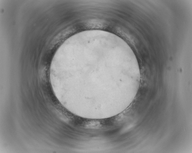 X0000087410162200705111900