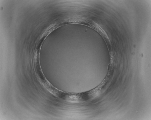 X0000087410163200705111900