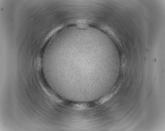 X0000087410164200705111900