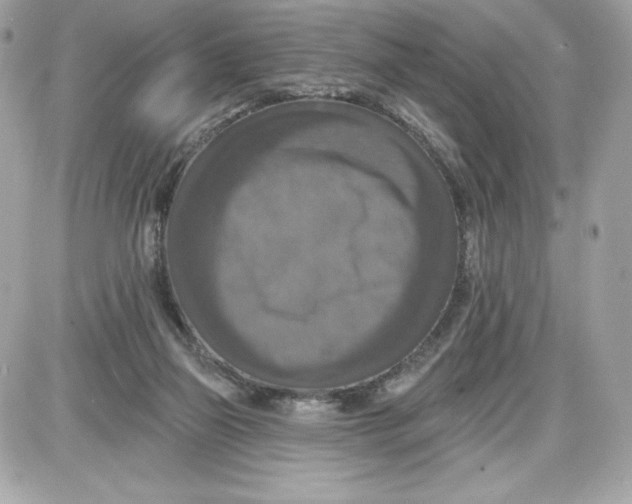 X0000087410165200705111900