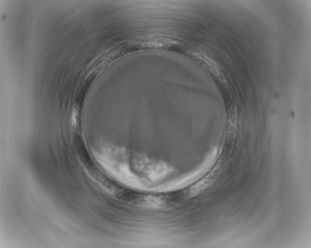 X0000087410166200705111900