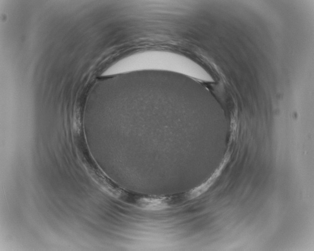 X0000087410170200705111900