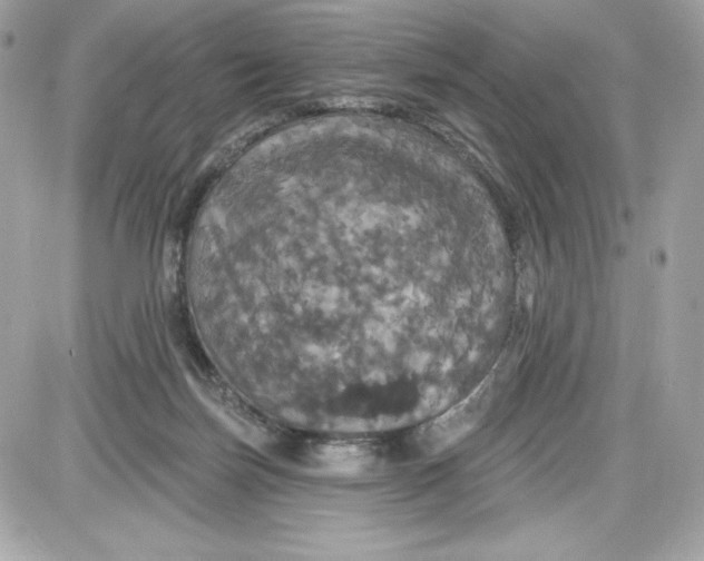 X0000087410171200705111900