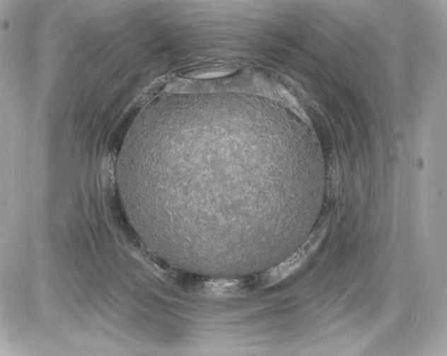 X0000087410172200705111900