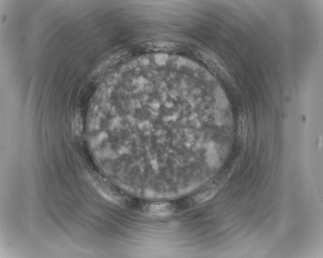 X0000087410173200705111900