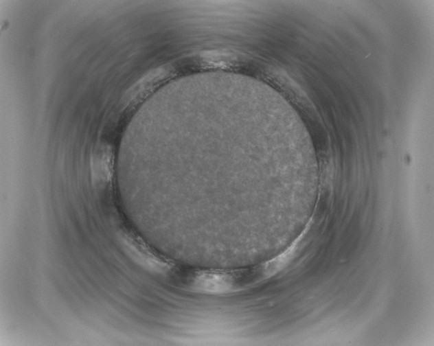 X0000087410174200705111900