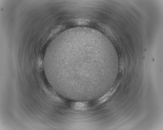 X0000087410176200705111900